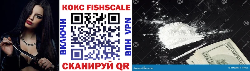 Кокаин Fish Scale  дарнет шоп  Инта 