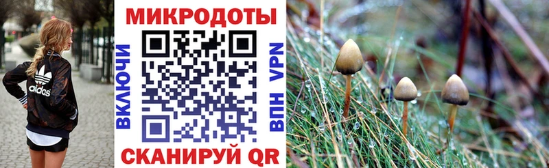 Псилоцибиновые грибы Cubensis наркота Инта